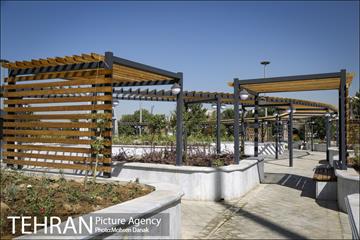 اتمام بازپیرایی میدان محمدیه 8