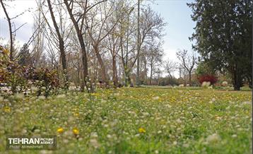 بهار در منطقه 18 12