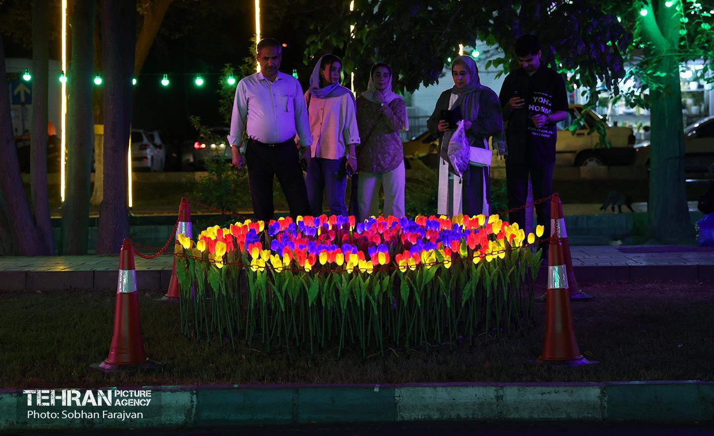 «جشن نور تهران» در بلوار کشاورز 22