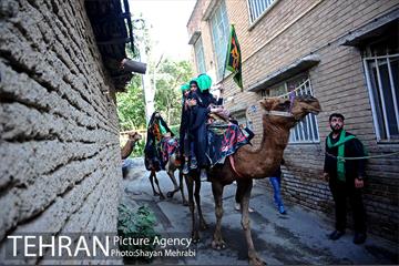 حرکت نمادین کاروان اُسرای کربلا در ده ونک 29