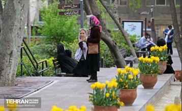 تور عکاسی از باغ ایرانی 11