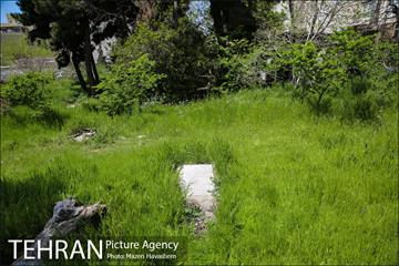 گورستان ده ونک 8