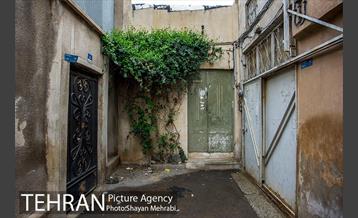 محله پامنار  19