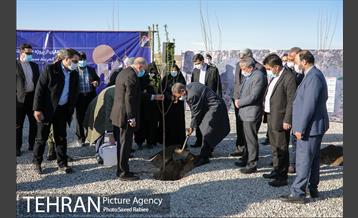 بازدید و افتتاح پروژه جنگل کاری 1000هکتاری در بوستان جنگلی تلو 12