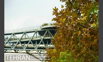 پاییز پل طبیعت 6