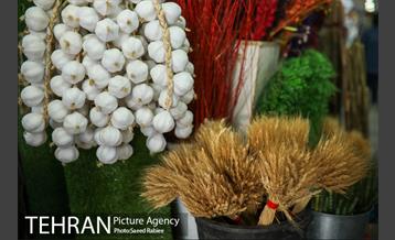 بازار گل و گیاه غرب تهران در آستانه نوروز 2