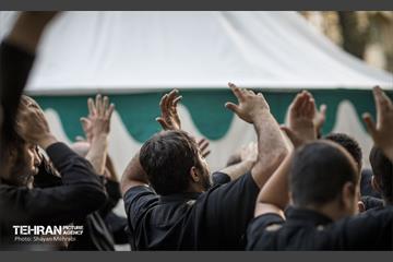 خیمه سوزان غروب عاشورا 14