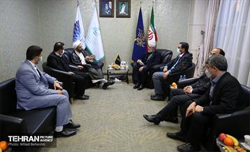 هفتمین روز چهلمین جشنواره فیلم فجر  31