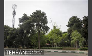 بازدید شهردار منطقه 16 از بوستان های شاخص منطقه در روز طبیعت 2