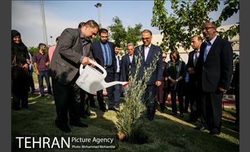 آئین درخت کاری به مناسبت تولد گاندی 18