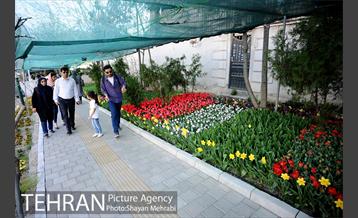 پیاده راه لاله مادران 30