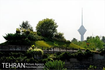 دریاچه و باغ هنر 24