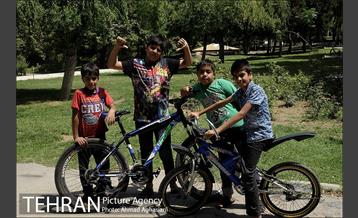 نگاهی به منطقه 16 شهرداری تهران 1