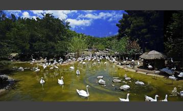 امروز طهران 1