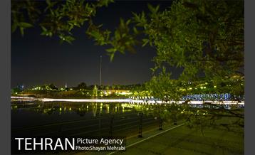 شب های باغ هنر 8