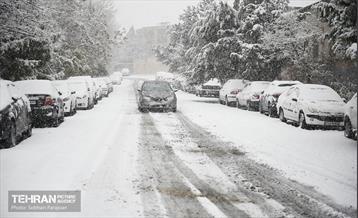 بارش اولین برف زمستانی در تهران 10