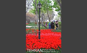 روش گل های لاله در باغ ایرانی 34