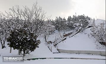 تهران برفی از نمای برج میلاد 8