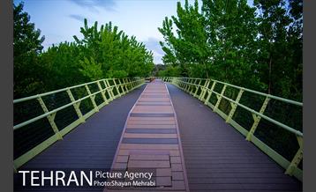 پل بوستان آب و آتش 33