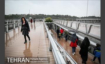 بارش باران بهاری در تهران 27
