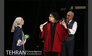 نمایش مرغ دریایی من 14