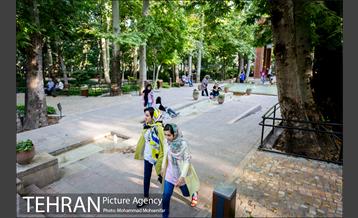 شهرنگار؛ باغ ایرانی 20