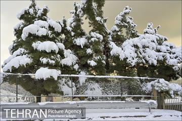 طبیعت برفی شمال تهران 2