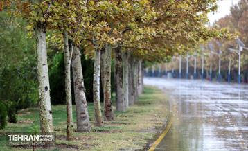 یک روز بارانی در منطقه 19 5