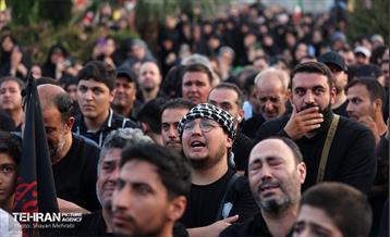 اجتماع امام حسنی‌ها(ع) 16