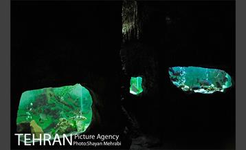 موزه حیات وحش هفت چنار 44