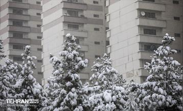 بارش برف زمستانی در تهران 12