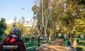 سمفونی رنگ های پاییزی - بوستان اندیشه 18