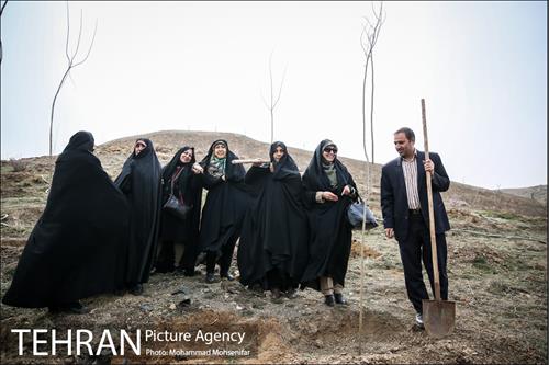 آئین کاشت نهال در بوستان جنگلی سرخه حصار 20