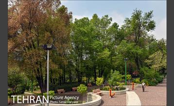 بوستان نیاوران 24