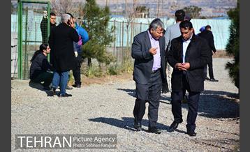 رهاسازی 150 قلاده سگ بدون صاحب  19