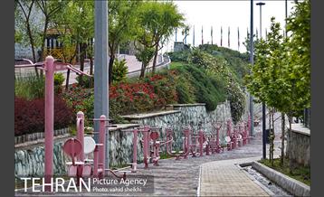 بوستان نهج البلاغه در یک روز بارانی 13