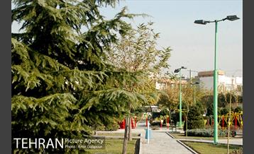 بوستان بنفشه 6