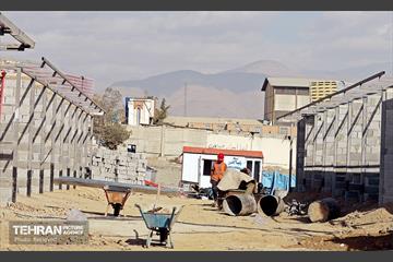 اینجا کارگاهه؛ بازار پرندگان خلیج فارس 17