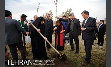 کاشت شش نهال درخت زیتون با حضور کارگرداران سینمای ایران 17