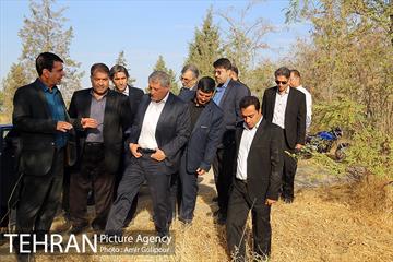 بازدید رئیس شورای شهر تهران از بوستان جنگلی چیتگر 7