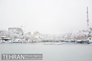 روز برفی تهران در بوستان ملت 11