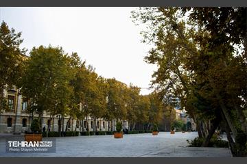 پاییز میدان مشق 33
