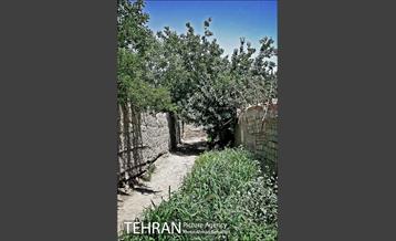 توتستان های طرشت، طعم شیرین طهران قدیم 2