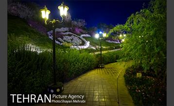 شب های باغ هنر 29