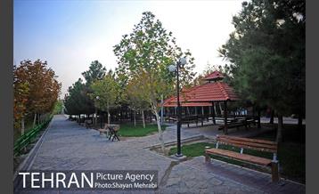 بوستان نهج البلاغه (فاز2) 11