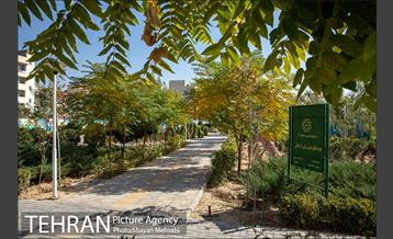 بوستان شهدای ارتش 2