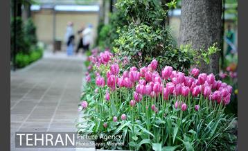 باغ ایراتی (بوستان مهندس مختاری) 32