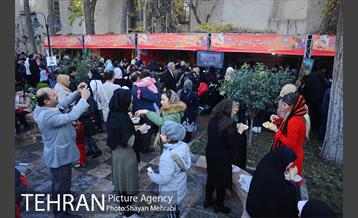 جشنواره فرهنگ ملل، غذا و صنایع دستی در منطقه 10 23