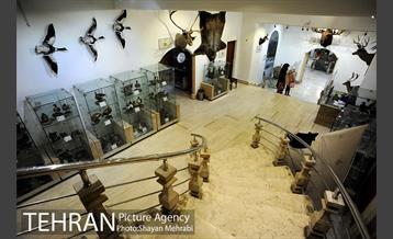 موزه طبیعت و حیات وحش دارآباد تهران 34