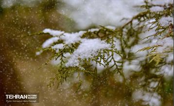 بارش برف زمستانی در منطقه 14